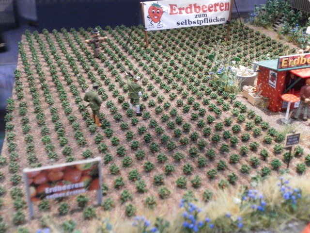 foto8a